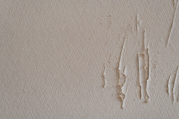 ペットが引っ搔いた壁紙の背景