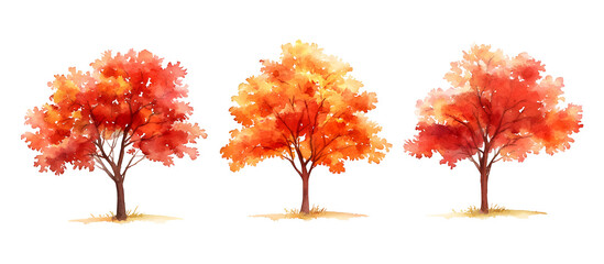 Watercolor illustration of three autumn trees with red and orange leaves isolated on transparent background