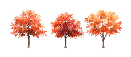 Watercolor illustration of three autumn trees with red and orange leaves isolated on transparent background