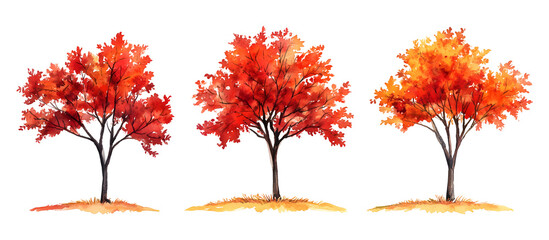 Watercolor illustration of three autumn trees with red and orange leaves isolated on transparent background