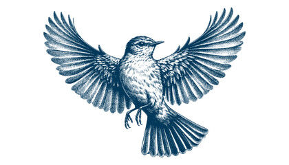 Obraz premium Acadian Flycatcher bird vector