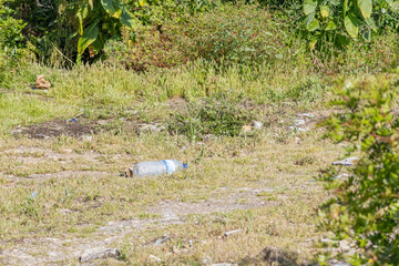 Plastic bottle polluting a green meadow near the forest