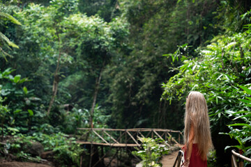 Tourist walking on wooden bridge in tropical forest