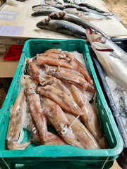 Fresh fish and seafood arranged on stands for sale at the fish market in Split, Croatia