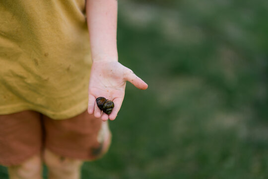 Close up of muddy child holding snail in hand during spring