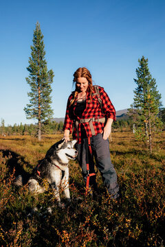 Hiker petting alaskan malamute dog in v&aring;l&aring;dalen nature reserve