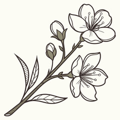 Black and white floral design with vintage flower and leaf pattern illustration