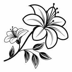 Black and white floral design with vintage flower and leaf pattern illustration