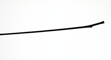A stark lonely stick of black liquorice on a blindingly white expanse