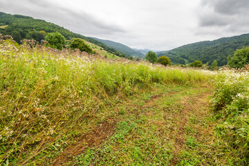 mountainous countryside on a cloudy day. grassy alpine slope. landscape with rural hay field on hill near the forest. village in the distant valley