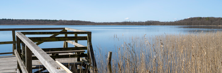 Aussichtsplattform und Schilfrohr am Priesterbäker See, Müritz Nationalpark, Mecklenburgische...