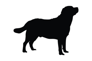 Labrador Retriever silhouette vector. Black silhouettes of dogs. Dog vector logo.