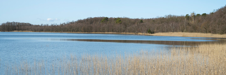 Europa, Deutschland, Mecklenburg-Vorpommern, Müritz Nationalpark, Priesterbäker See, Schilfrohr