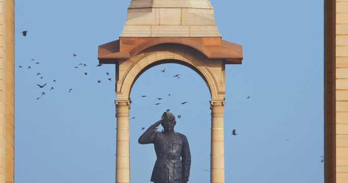 Delhi, India. Birds flying around of Statue of Subhas Chandra Bose. Netaji's Statue, is a monolithic statue made of black granite, dedicated to Netaji Subhas Chandra Bose, Indian freedom fighter and
