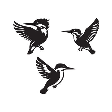 Flying kingfisher bird icon vector on white background. 