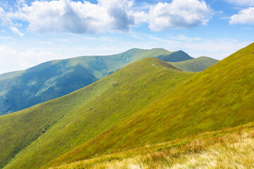 mountain landscape with green meadows in summer. peaceful outdoor adventures in alpine scenery of borzhava ridge. scenic view of mnt stij in distance. sunny afternoon with fluffy clouds on a blue sky