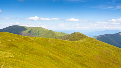 mountain landscape with green meadows in summer. vacation season in grassy highlands of ukraine. sunny afternoon with fluffy clouds on a blue sky