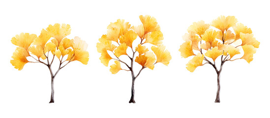 Watercolor painting of three ginkgo trees with vibrant yellow autumn leaves isolated on transparent background
