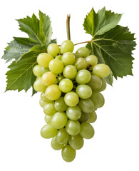 Obraz premium green grapes with leaves on transparent background