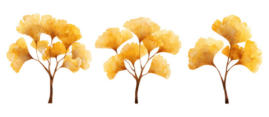 Watercolor painting of three ginkgo trees with vibrant yellow autumn leaves isolated on transparent background