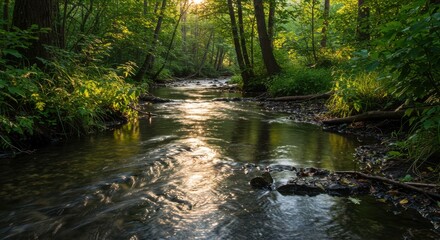 Fototapeta premium Sunlit stream meanders through forest creating an ethereal natural scene