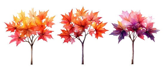 Watercolor painting of three maple trees with vibrant autumn leaves in shades of yellow, orange, and purple isolated on transparent background