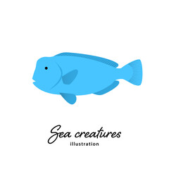 ナポレオンフィッシュのシンプルなイラスト