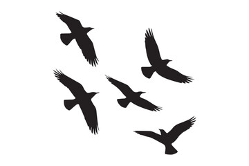 Obraz premium A crisp vector silhouette of a flock of birds in flight, perfect for a variety of design needs