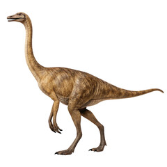 Gallimimus, an ostrich like dinosaur from the late cretaceous period, is depicted walking against a transparent background, offering flexibility for various design projects