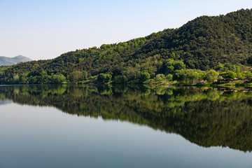 Obraz premium tranquil landscape of the lake and reflections