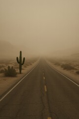 Serene desert road and cactus in misty stillness