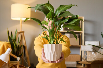A man in a yellow hoodie holds a potted peace lily plant towards the camera in a room with moving...