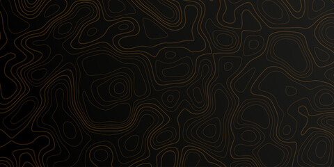 Line of topography background. Dark topographic map concept with space for your copy. Cartography concept background. Map mockup infographics. World map Template. Stock vector illustration