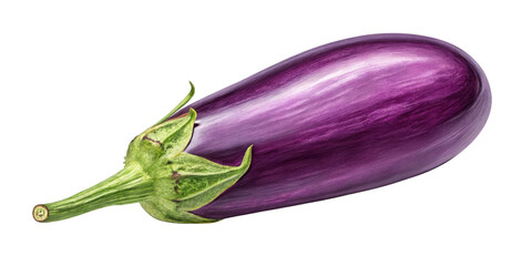 Single Eggplant, Purple Vegetable, Isolated on Transparent Background, High-Resolution Image, Fresh Produce, Eggplant, Food Photography, Vegetables