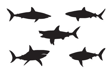 Shark fish black and white silhouettes. Shark vector set