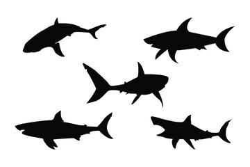 Shark fish black and white silhouettes. Shark vector set
