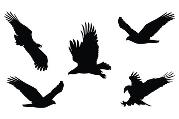 A black and white bird illustration. Birds silhouettes black vector