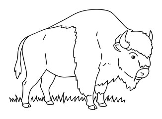 european bison outline wild animal vector