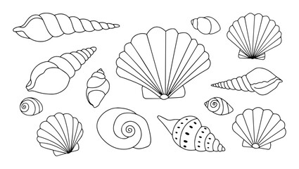 sea shells collection outline black vector outline in child style