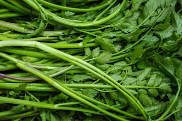 Various kinds of healthy food herbs from spring mountains