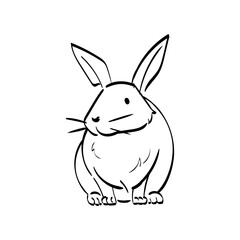 Fototapeta premium Hand Drawn Pet Veterinary Outlined Illustration