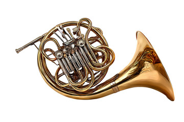 Golden Horn On Black Background