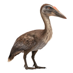 Obraz premium Hatzegopteryx thambema, a giant azhdarchid pterosaur from the late cretaceous, standing majestically on a transparent background, showcasing its impressive size and unique features