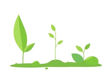 Illustration of three green seedlings at different growth stages on a light background