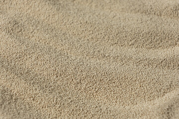 Macro Background of Dry Active Yeast