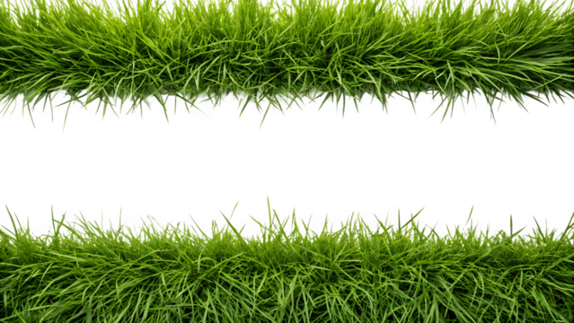 Two green grass borders on black background for design elements and composition