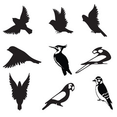 Black and White Birds Vector set 