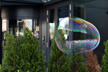 Big soap bubble