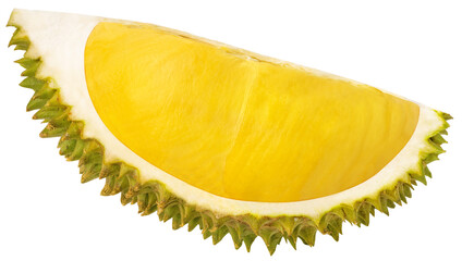 Ripe durian, a tropical fruit with a strong smell and sharp thorns iosolate on white with clipping path PNG file.