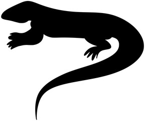 Silhouette of a curacao whiptail lizard vector